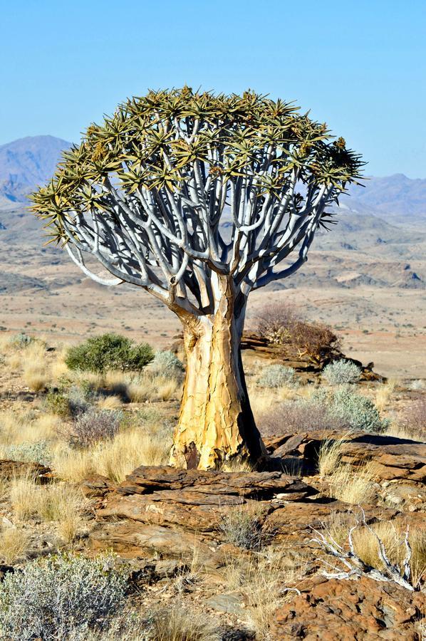 Namibs Valley Lodge Gamsberg Pass Extérieur photo